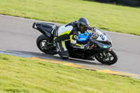PJ-Motorsport-2019;anglesey-no-limits-trackday;anglesey-photographs;anglesey-trackday-photographs;enduro-digital-images;event-digital-images;eventdigitalimages;no-limits-trackdays;peter-wileman-photography;racing-digital-images;trac-mon;trackday-digital-images;trackday-photos;ty-croes